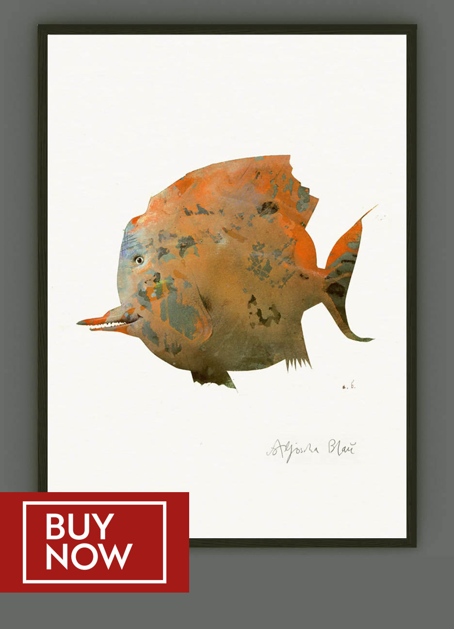 (a series of) Fish