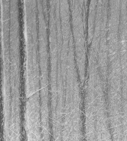 Untitled IV