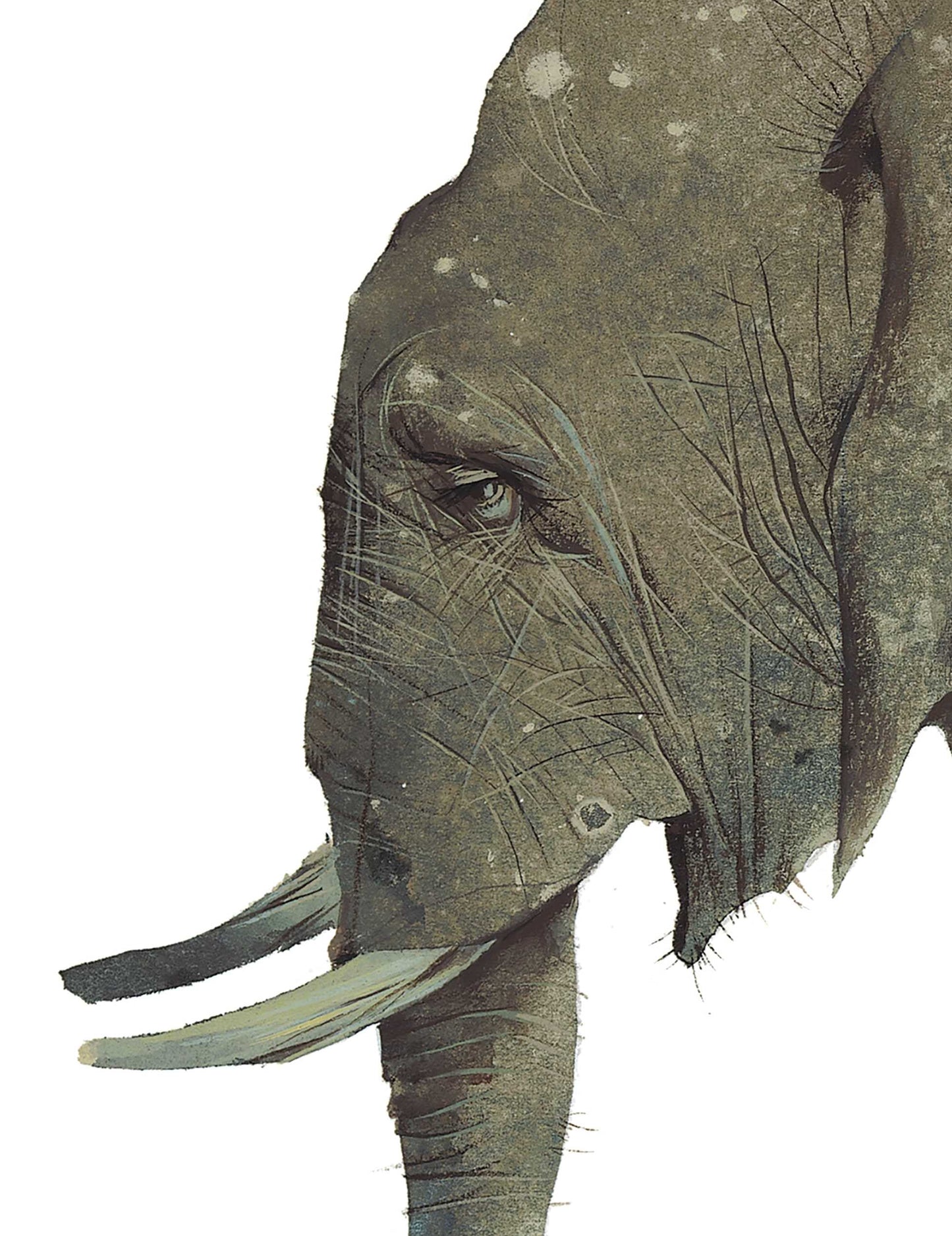 Hathi, the Elephant
