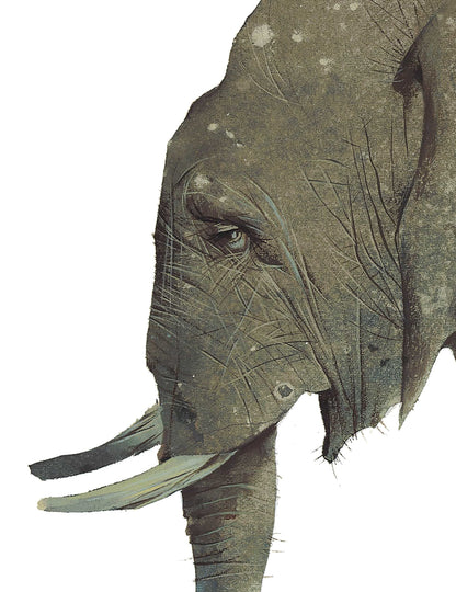 Hathi, the Elephant