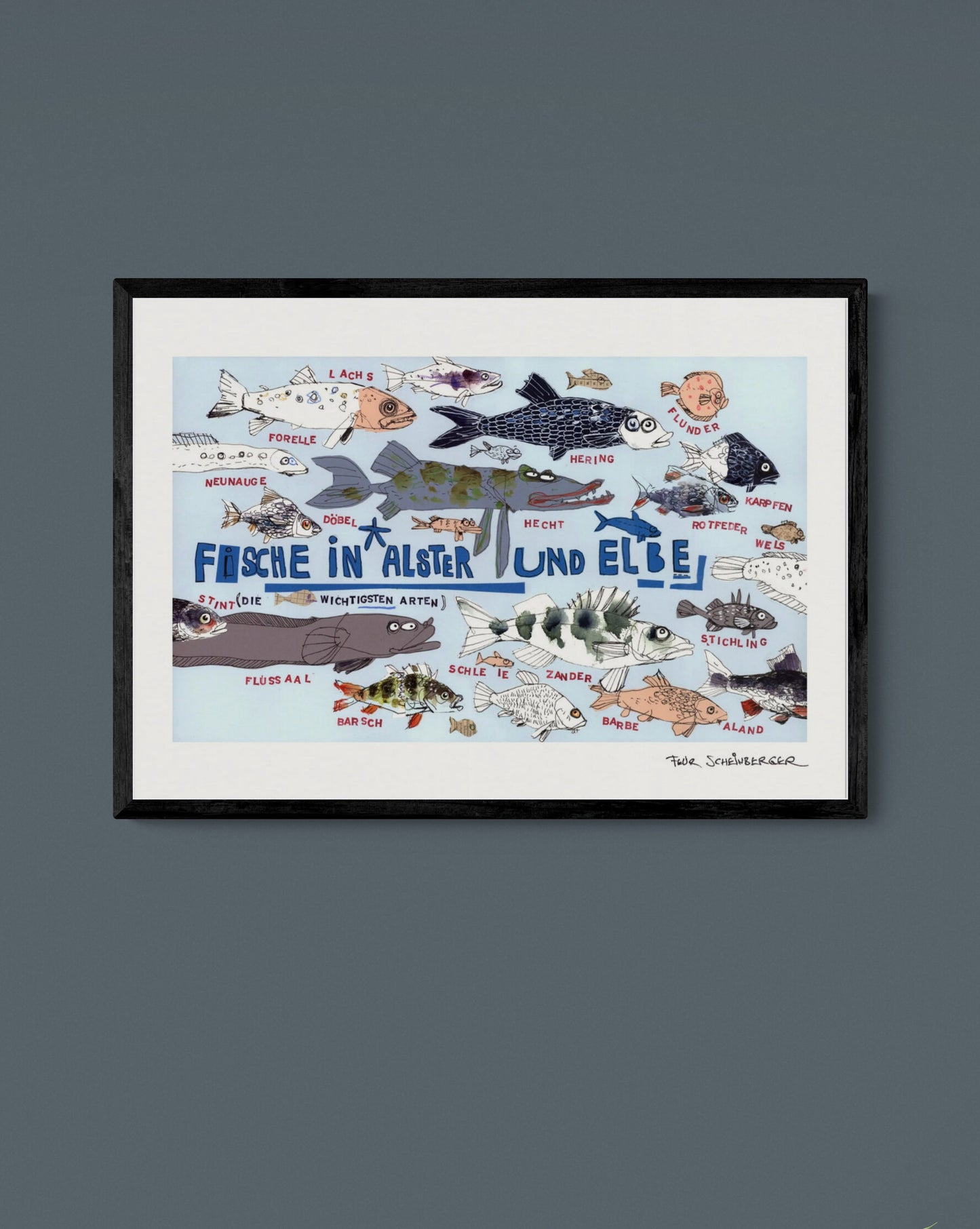 Fische in Alster und Elbe