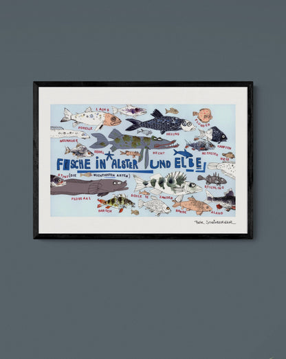 Fische in Alster und Elbe