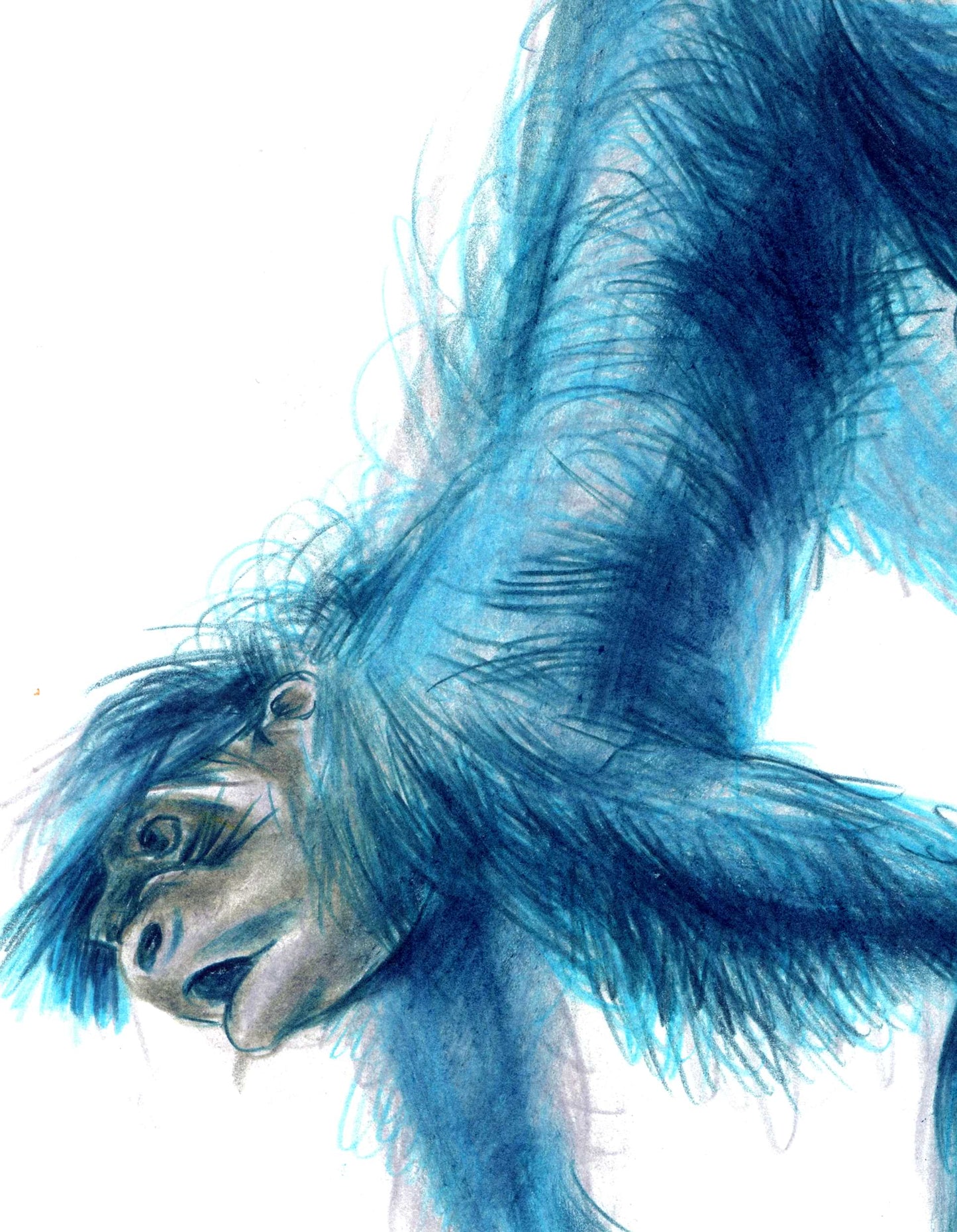 Blue monkey