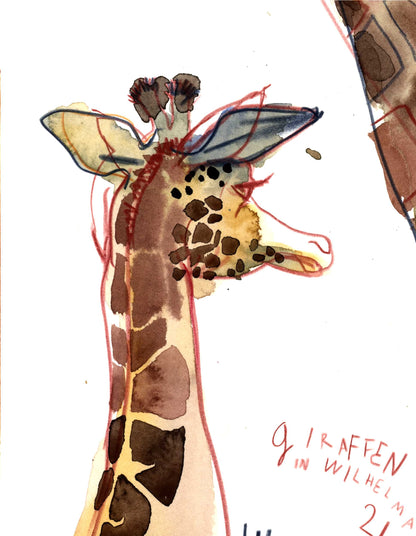 Two Giraffes